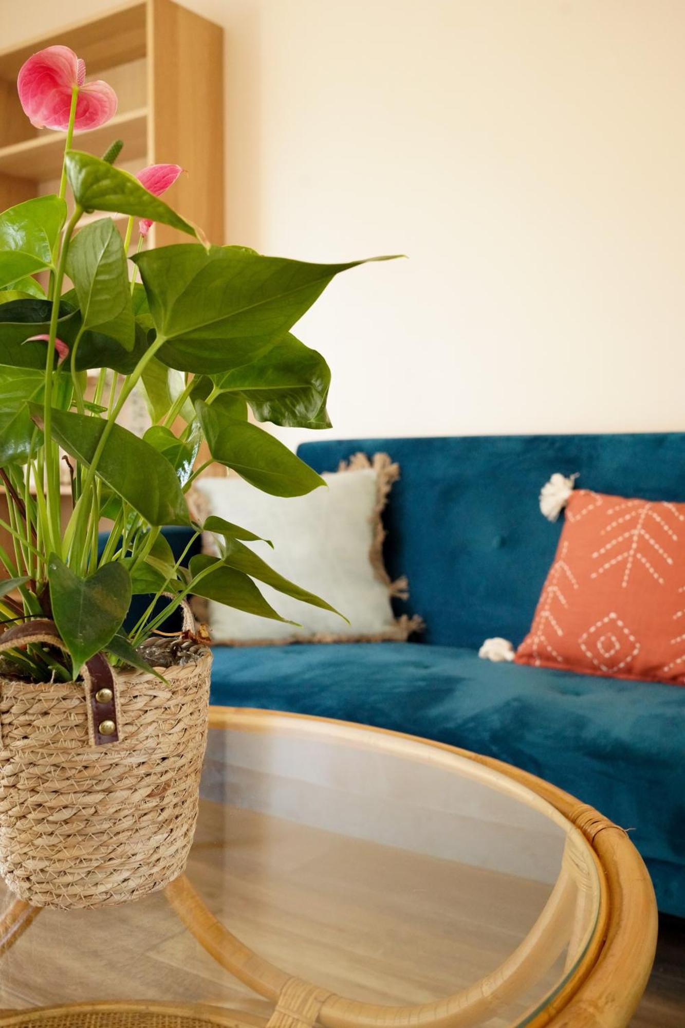 Appartement Le Cocon Bleu à Parentis-en-Born Extérieur photo